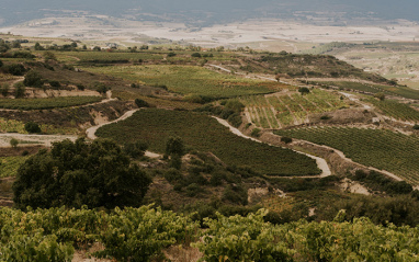 Panorámica general del entorno