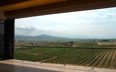 Vistas panorámicas desde bodega