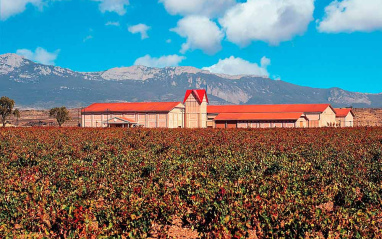 Entorno de la bodega riojana