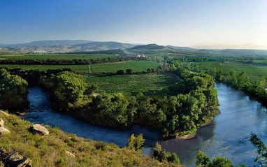 El río a su paso por los viñedos de Valpiedra