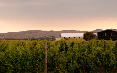 Panorámica de Fromm Winery