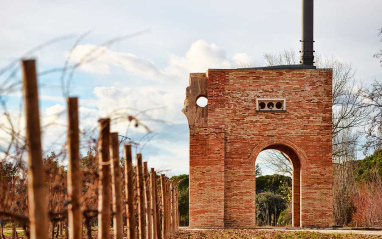 Detalle de la zona de viñedos