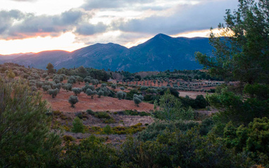 Panorámica de El Terrerazo