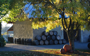 Barricas de Neudorf