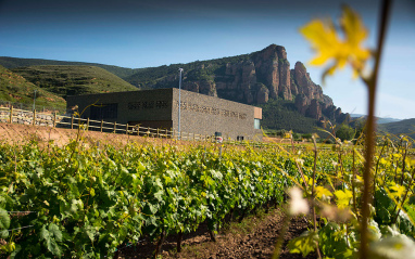 Imagen de la bodega