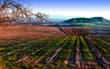 Panorámica de la finca Los Locos