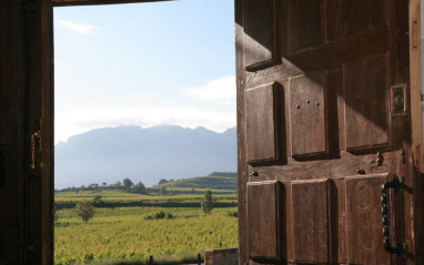 Vista del viñedo desde el interior de la bodega