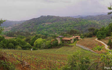 Panorámica de la bodega y su viñedo