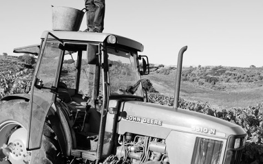 En todo lo alto En todo lo alto