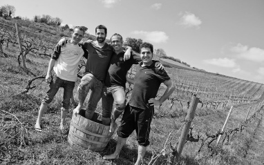 A pie de viñedo, dando el callo A pie de viñedo, dando el callo