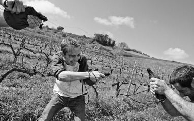 Irreverencia en estado puro Irreverencia en estado puro