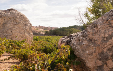 Los viñedos se encuentran a entre 780 y 980 metros de altitud