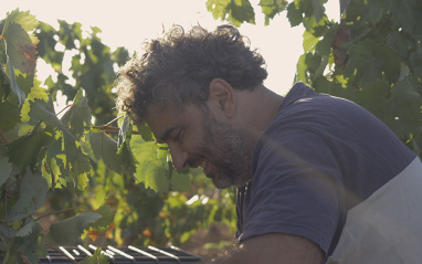 Tomeu Llabrés, alma mater de Ca’n Verdura Viticultors