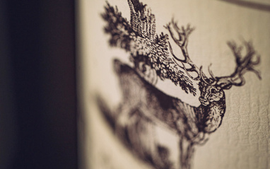 Stag's Leap Wine Cellars 
