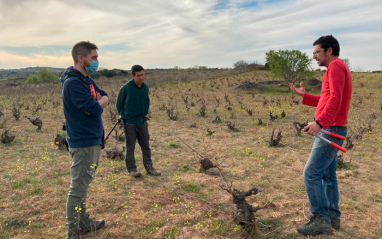 El Hato y el Garabato El Hato y el Garabato