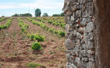 El Hato y el Garabato El Hato y el Garabato