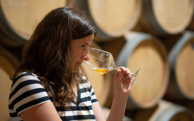 El Hato y el Garabato El Hato y el Garabato