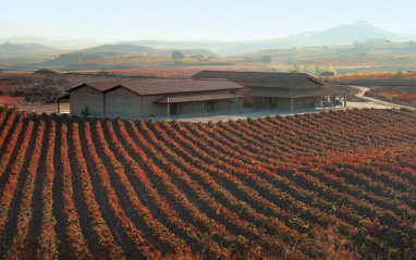 Viñedos de El Puntido