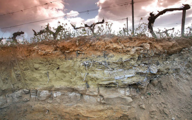 Detalle de los suelos