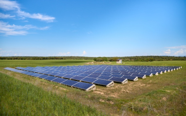 Paneles solares en el viñedo Bosque de Matasnos