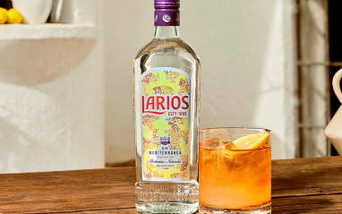 Larios Gin 1L