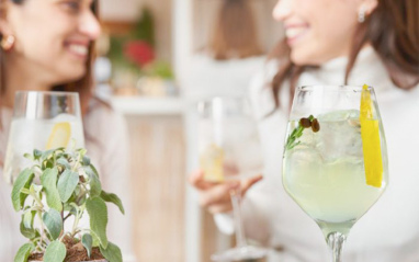 Pack Nordés Gin con 1 copa