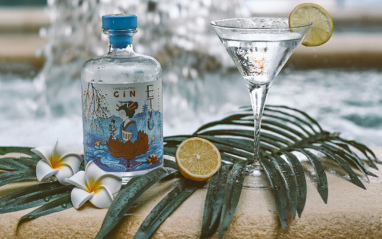 Etsu Japanese Gin con Estuche