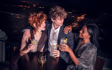 Seagram's Dry Gin
