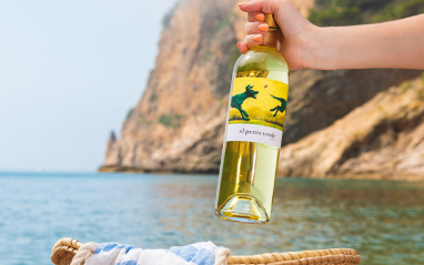 El Perro Verde en la playa