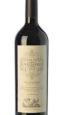 Gran Enemigo El Cepillo Cabernet Franc 2012