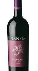 Planeta Plumbago 2015
