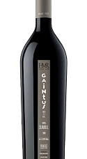 Gaintus Vertical 2008