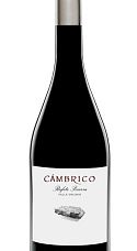 Cámbrico Rufete Valleoscuro 2016