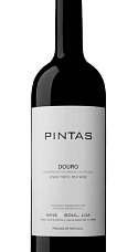 Pintas Douro 2018