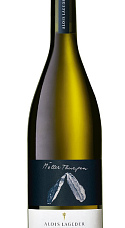 Müller Thurgau Valle Isarco 2019