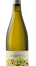 Bruberry Blanc 2019