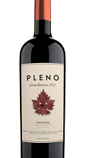 Pleno Gran Reserva 2012