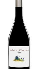 Viñas del Cámbrico Miranda 2017