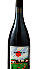 Clos Du Moulin Aux Moines VDF Pinot Noir 2020