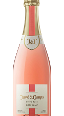 Produto: Juvé & Camps Cinta Rosé