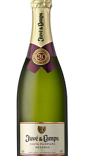 Produto: Juvé & Camps Fita Púrpura 2021