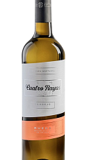 Produto: Cuatro Rayas Vendimia Nocturna Verdejo 2025
