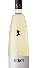 Produto: Circe Verdejo 2025