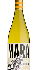 Produto: Mara Martín 2025