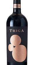 Produto: Triga 2021