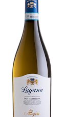 Produto: Allegrini Lugana Oasi Mantellina DOC 2025