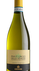 Produto: Cesari Pinot Grigio Delle Venezie 2024