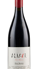 Produto: Aliaxe Tinto 2023