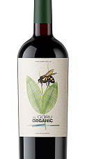 Produto: El Goru Verde 2025