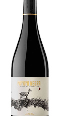 Produto: Payoya Negra 2023